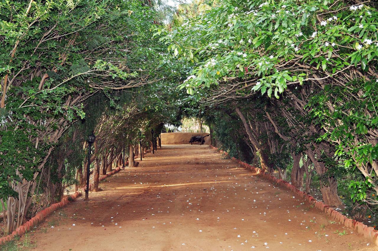 Tiger Machan Resort Ranthambore Exterior photo